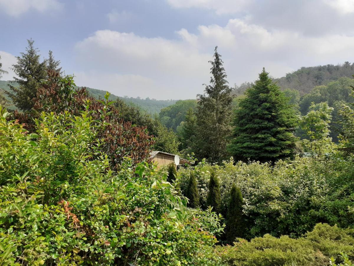 Talblick 2 - Ihr Zuhause : Das Ferienhaus Mitten Im Idyllischen Tal Bad Bibra Exterior photo